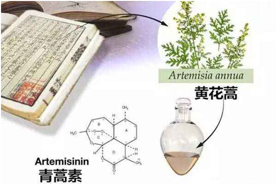 LETOU.COM乐投体育(中国大陆)科技公司,：向中医药看齐，与世界共享中医药文化(图1)